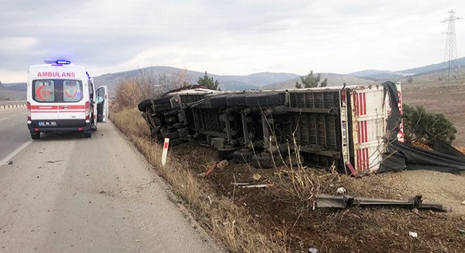 Talaş yüklü kamyon devrildi
