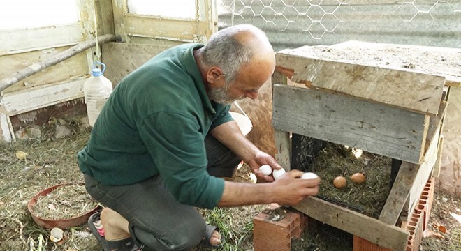Tam kapanmada Karadeniz'de köy ve yaylalara akın ettiler