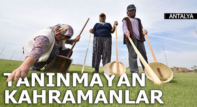 Tanınmayan kahramanlar