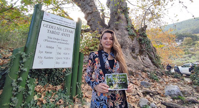 Tarihi çınarın gölgesinde  Memleketim Antalya  takvimi tanıtımı