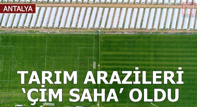 Tarım arazileri 'çim saha' oldu