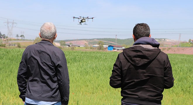 Tarım arazileri dronla ilaçlandı