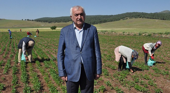 Tarım işçilerinin ücretleri belirlendi