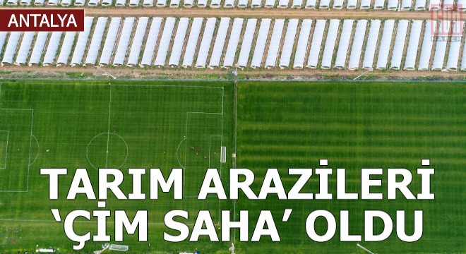 Tarım arazileri  çim saha  oldu