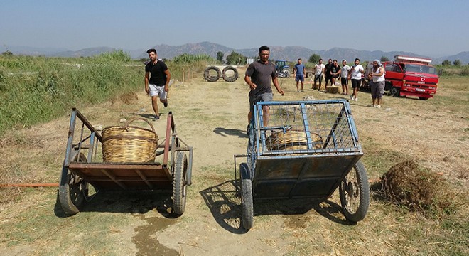 Tarlada 'Survivor' yarışması