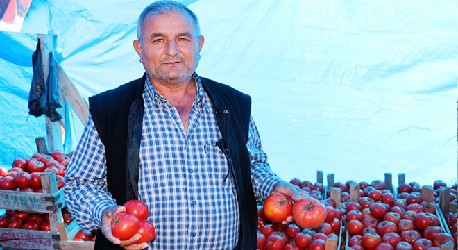 Tarlada yetiştirip, yol kenarında satıyorlar