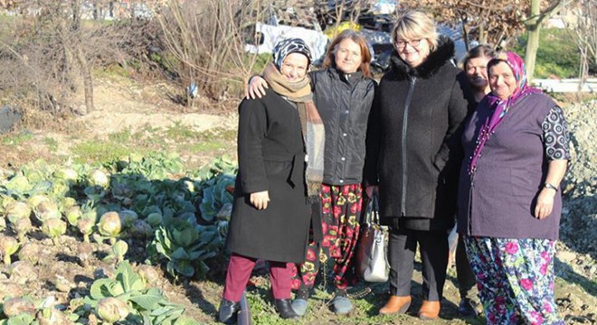 Tarlada ürettiği sebzeleri internet üzerinde satıyor