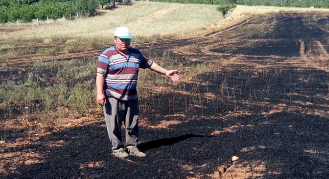 Tarladaki arpalar yangında kül oldu