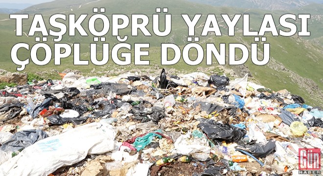 Taşköprü Yaylası çöplüğe döndü