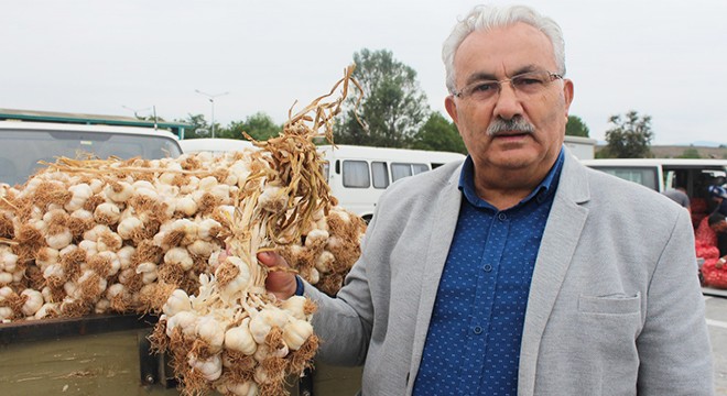 Taşköprü sarımsağı, üreticinin yüzünü güldürdü