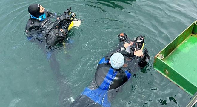 Tavşan Adası'ndaki biyoçeşitlilik değişimine yakın takip