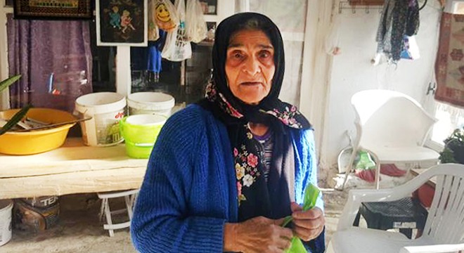 Tek odalı evinin tavanı akınca muhtara sığındı