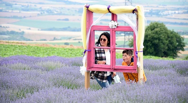 Tekirdağ'da 'Lavanta Günleri'