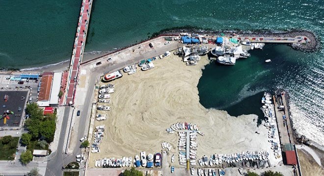 Tekirdağ'da deniz salyası nedeniyle balıkçılar denize açılamıyor