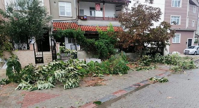 Tekirdağ'da hortum ağaçları devirdi, çatıları uçurdu