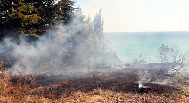 Tekirdağ'da orman yangını