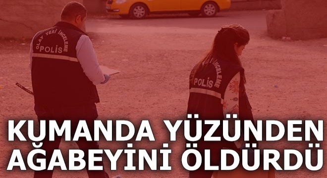 Televizyon kumandası yüzünden ağabeyini öldürdü