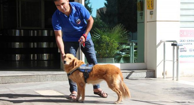 Terk edilen köpeğe sahip çıkıp, iş merkezi güvenliğine aldılar