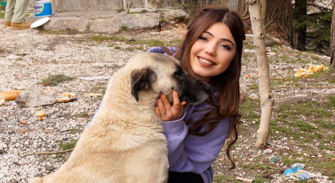Terk edilen köpeklerin gönül dostu oldular