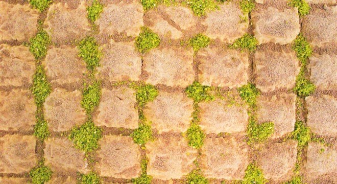 Tescilli tatlı soğuk baklava Amerika'ya da gönderiliyor