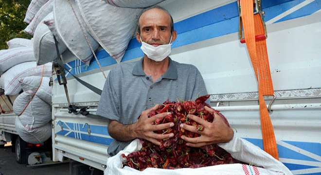 Tescilli Maraş biberi, pazarda