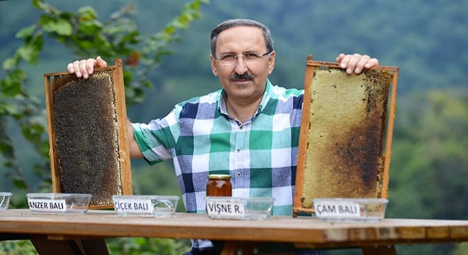 Tesise dadanan ayıların bal testi kamerada