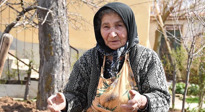 Tevhide nine, herkesi yetişecek üzümleri yemeye davet etti