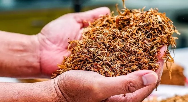 252 milyon liralık gümrük kaçağı eşya ve tütün yakalandı