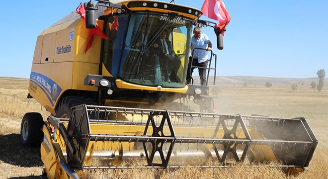 Tokat'ta nohut hasadı yapıldı