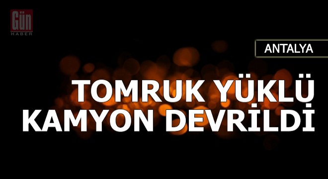 Tomruk yüklü kamyon devrildi