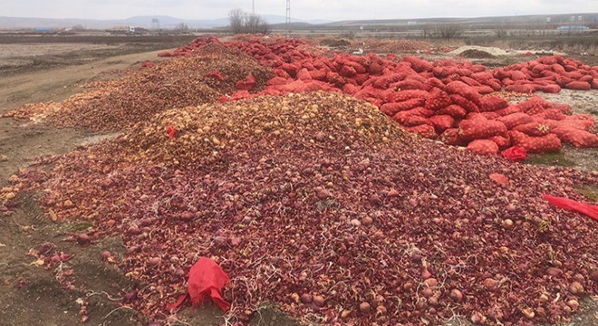 Tonlarca soğan yol kenarına döküldü