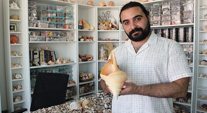 10 milyon deniz kabuğu ile koleksiyon oluşturdu