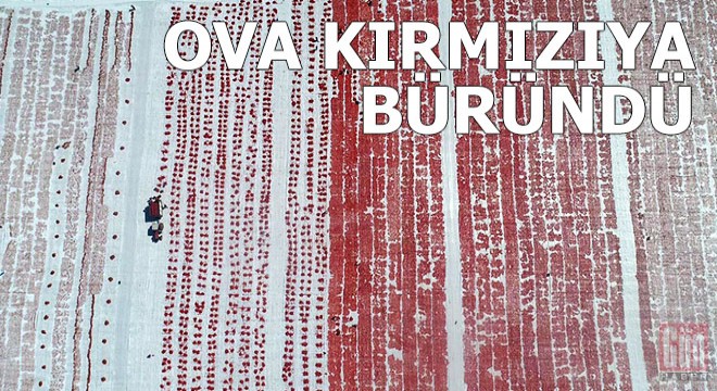 Torbalı Ovası kırmızıya büründü