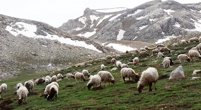 Toroslar'da eşsiz kar manzarası