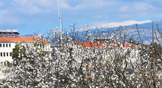 Toroslar'da kar, Antalya'da bahar