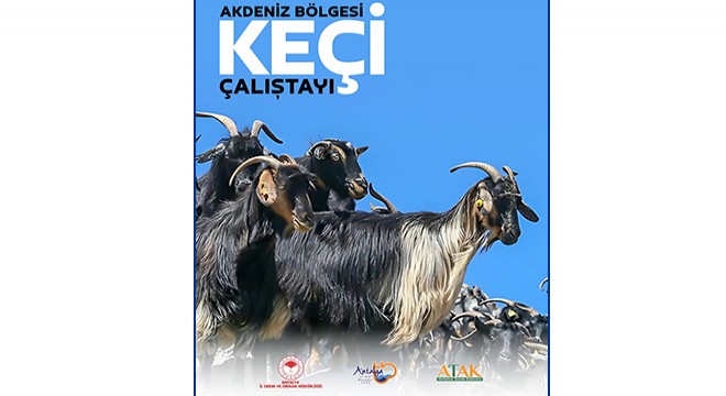 Torosların has ırkı keçi, Antalya da çalıştayda konuşulacak