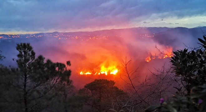 Trabzon’da 2 ilçede orman yangını