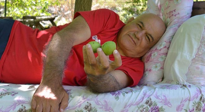 Trafik kazasında felç olan pehlivan, hayata tuş olmadı