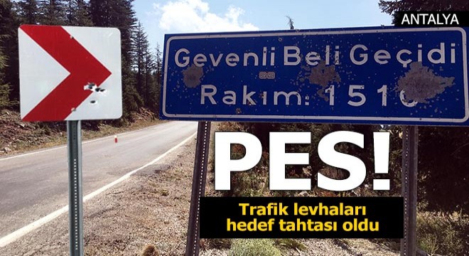 Trafik levhaları hedef tahtası oldu