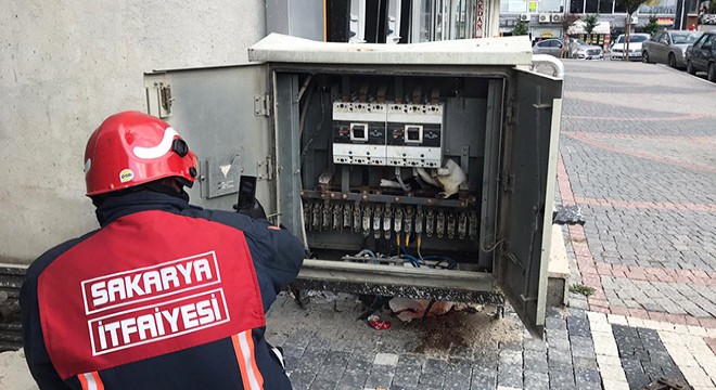 Trafoya giren kedi, elektrik kesintisine neden oldu