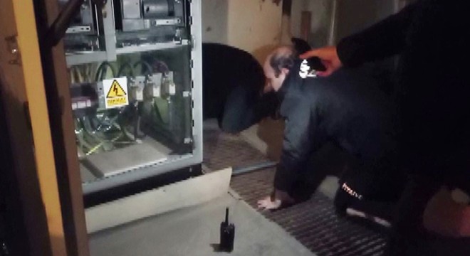 Trafoya giren kedi, itfaiye tarafından çıkartıldı