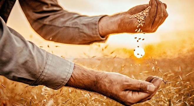 Traktörün kuyruk milinin çarptığı çiftçi öldü