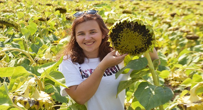 Trakya’da çiftçinin yüzünü yüksek verim güldürdü