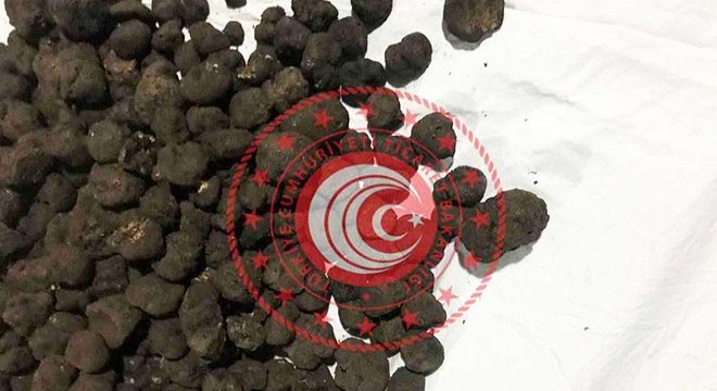 Trüf mantarına yine alıcı çıkmadı