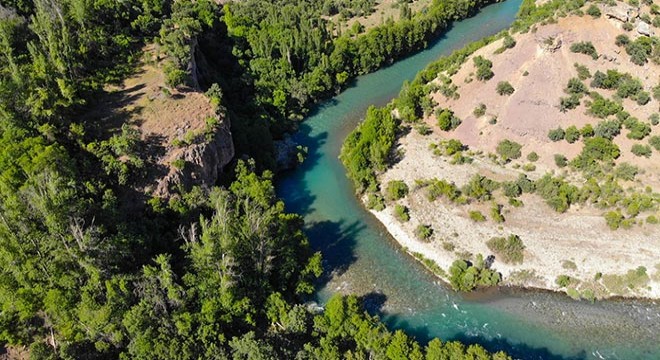 Tunceli'de ormanlara giriş yasağı