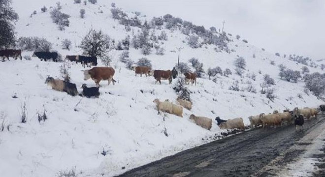 Tunceli'nin 49 köy yolu, kar nedeniyle ulaşıma kapandı