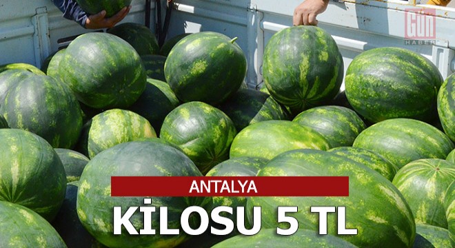 Turfanda karpuz kilosu 5 liradan satıldı