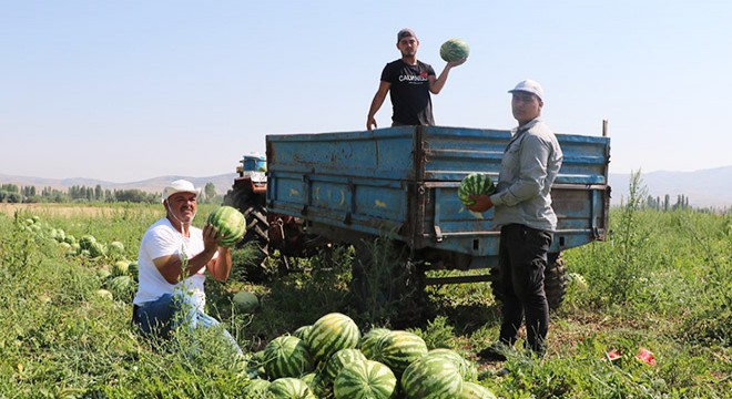 Turizmi bıraktı, kavun karpuz üretiyor