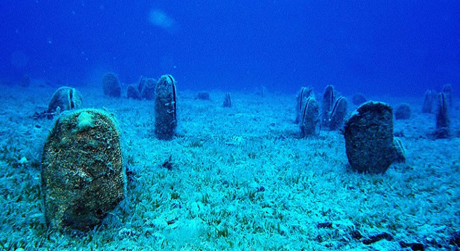 Türk Deniz Araştırmaları Vakfı yarın 'müsilaj' paneli düzenleyecek