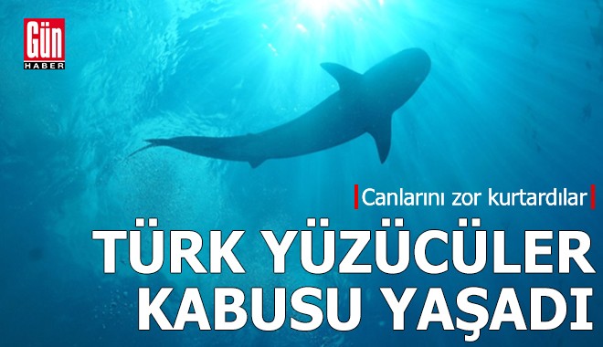 Türk yüzücüler neye uğradıklarını şaşırdı!